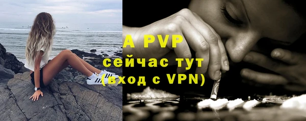 apvp Бородино